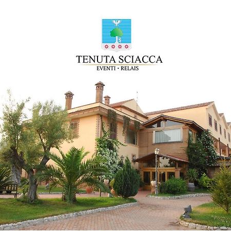 Tenuta Sciacca Villa Falciano del Massico Exterior photo